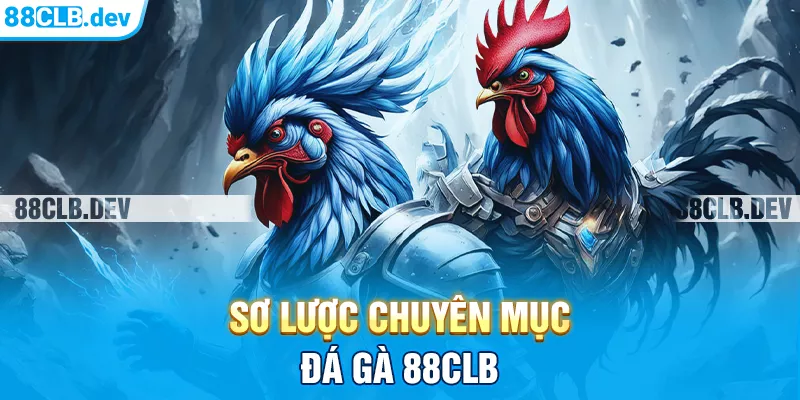 Sơ lược Đá gà 88CLB