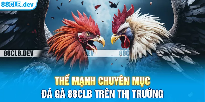 Thế mạnh đá gà 88CLB trên thị trường