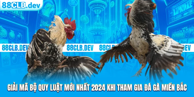 Giải mã bộ quy luật mới nhất 2024 khi tham gia đá gà miền Bắc