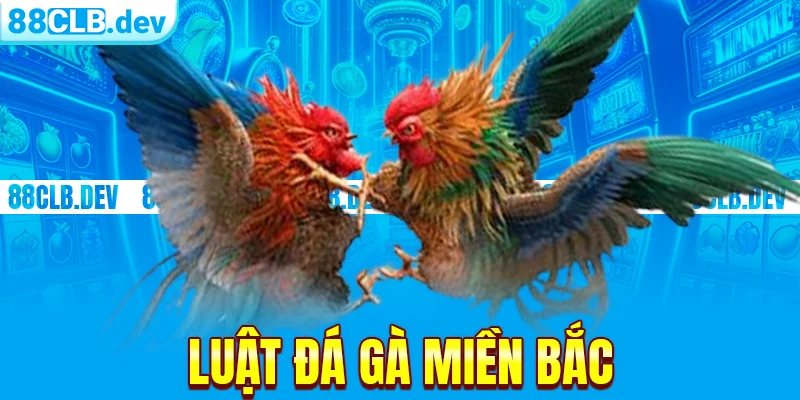 Luật Đá Gà Miền Bắc