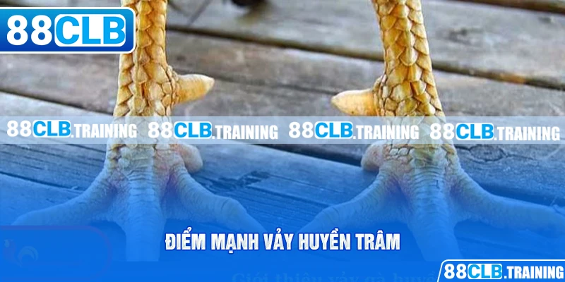 Điểm mạnh vảy huyền trâm