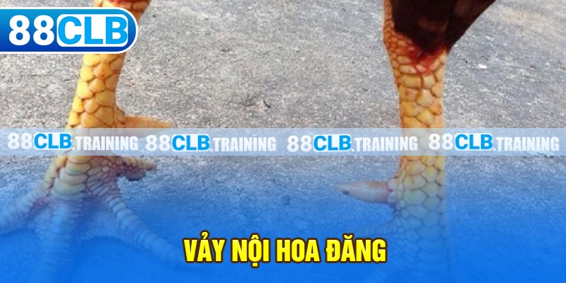 Vảy nội hoa đăng