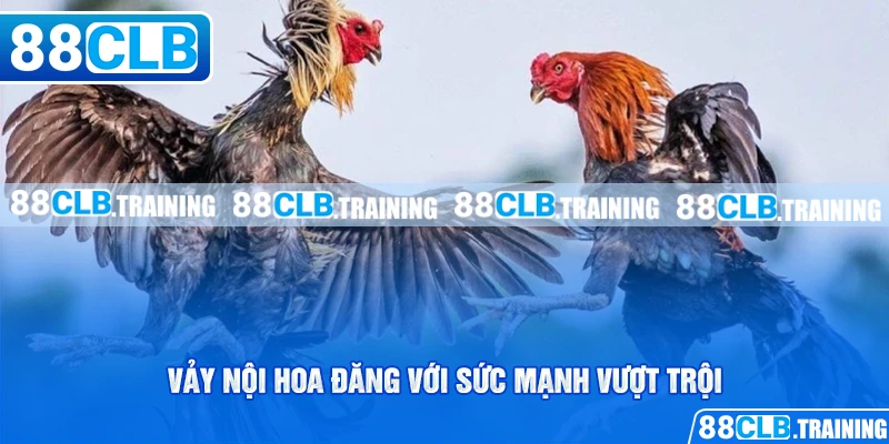 Vảy nội hoa đăng với sức mạnh vượt trội