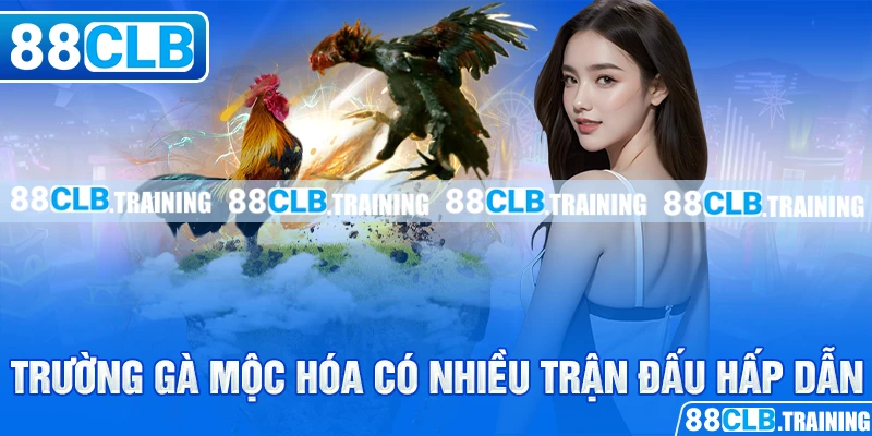 Trường gà Mộc Hóa có nhiều trận đấu hấp dẫn