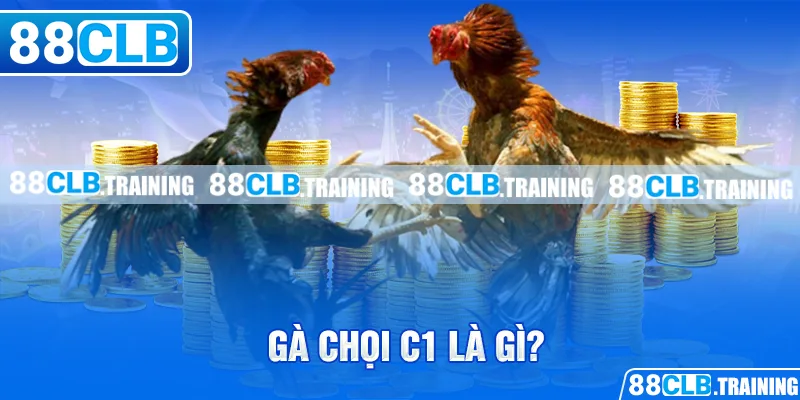 Gà chọi C1 là gì?