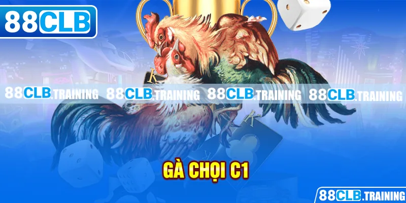 Gà chọi C1